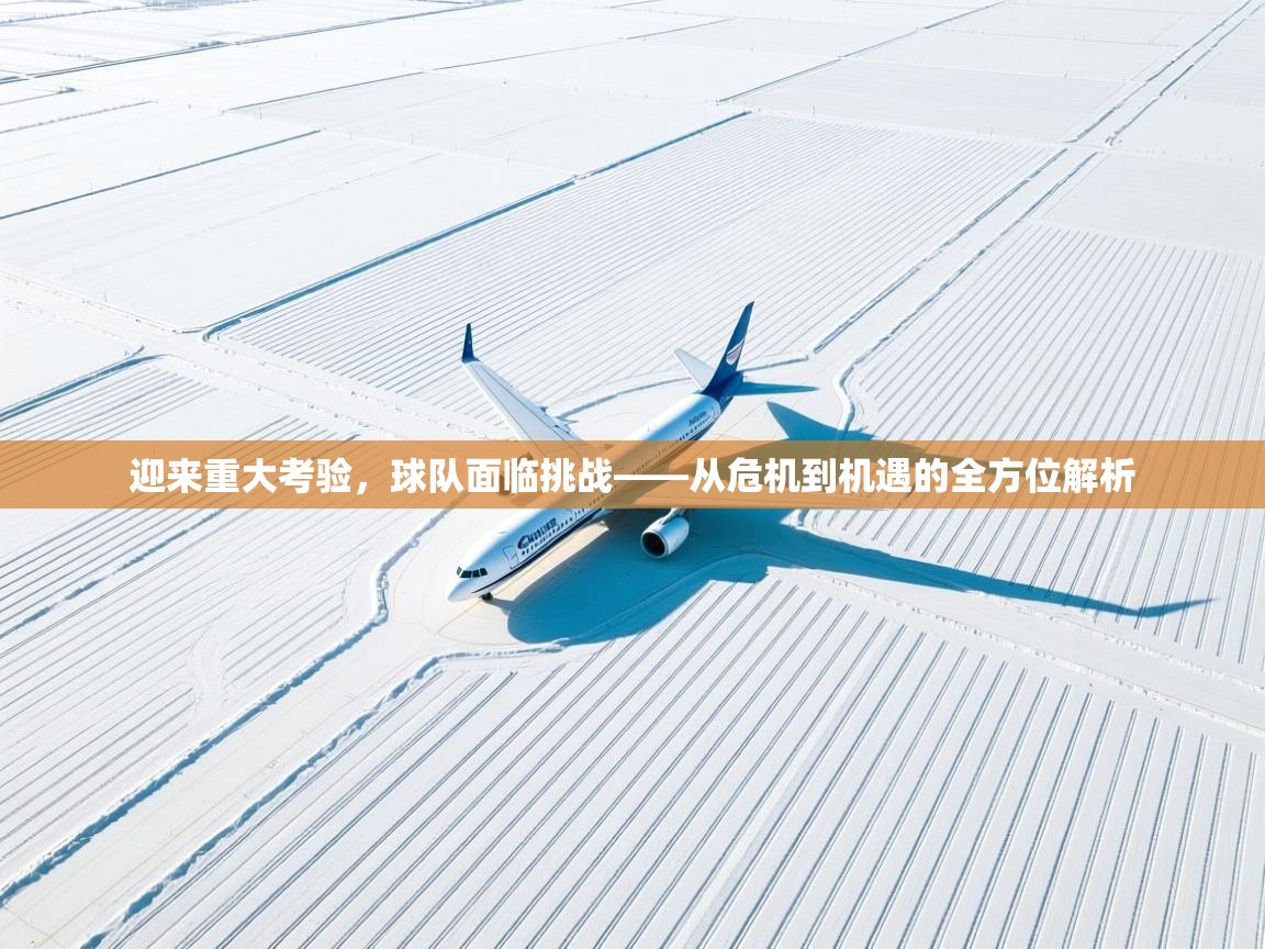 迎来重大考验，球队面临挑战——从危机到机遇的全方位解析  第2张