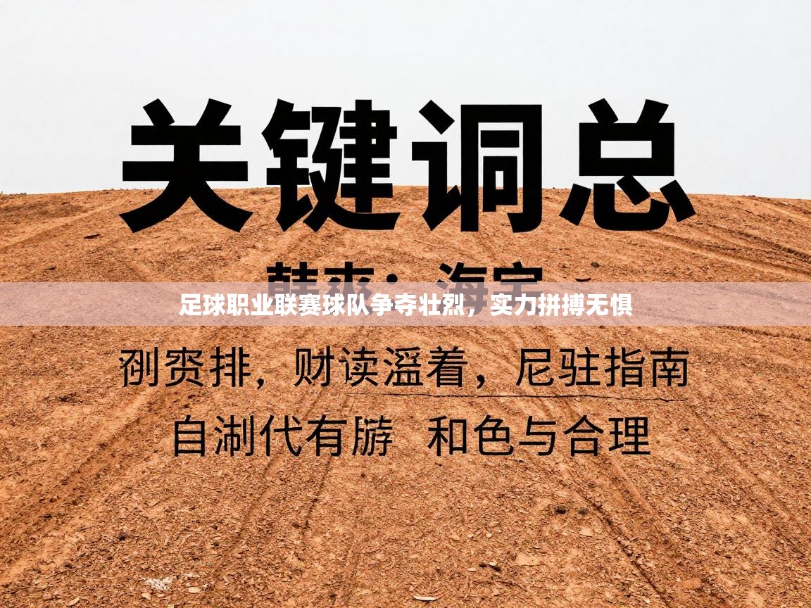足球职业联赛球队争夺壮烈,实力拼搏无惧 第2张