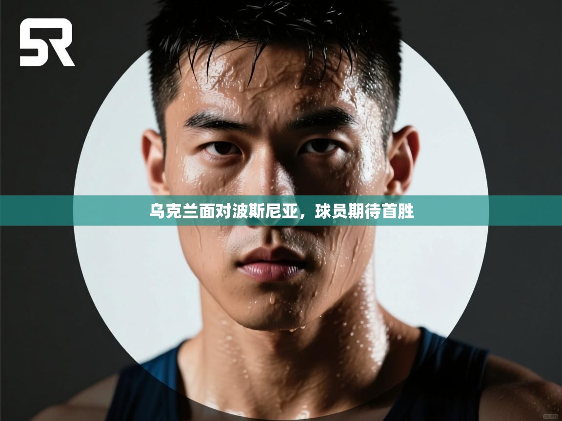 乌克兰面对波斯尼亚，球员期待首胜  第2张