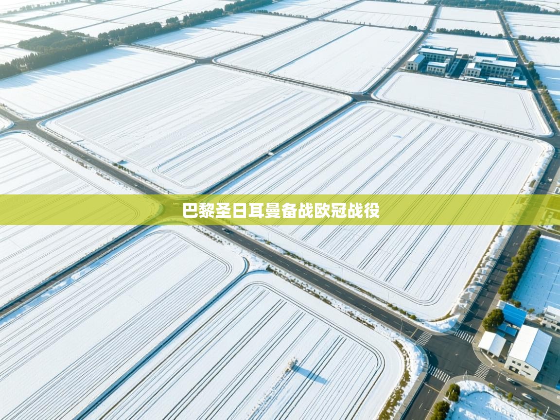 巴黎圣日耳曼备战欧冠战役  第2张