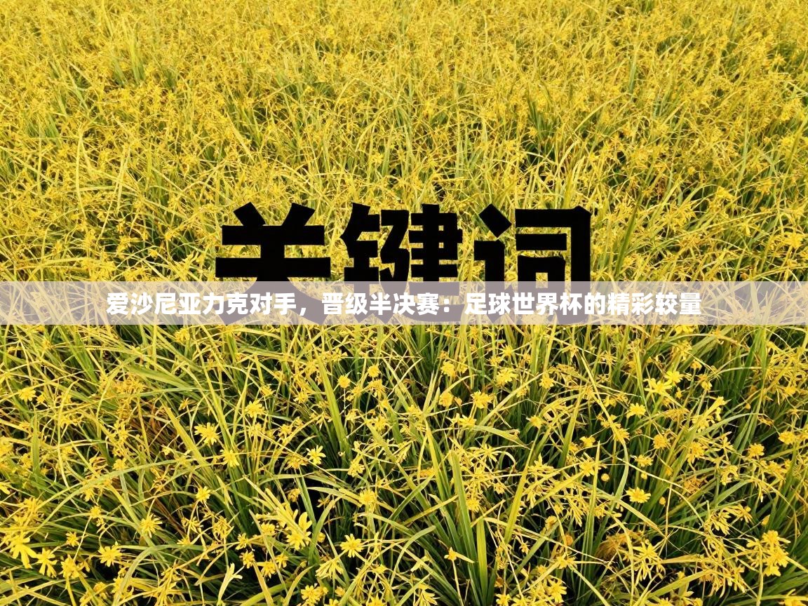 爱沙尼亚力克对手，晋级半决赛：足球世界杯的精彩较量